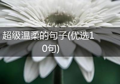 超级温柔的句子(优选10句)