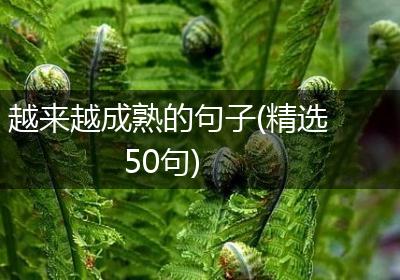 越来越成熟的句子(精选50句)