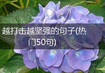 越打击越坚强的句子(热门50句)