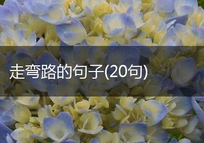 走弯路的句子(20句)
