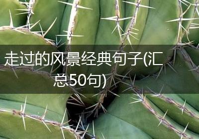 走过的风景经典句子(汇总50句)