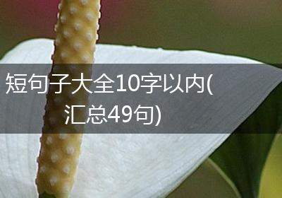 短句子大全10字以内(汇总49句)