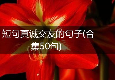 短句真诚交友的句子(合集50句)