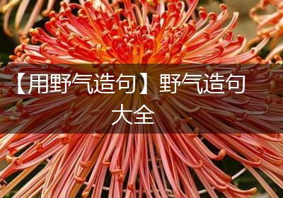 【用野气造句】野气造句大全