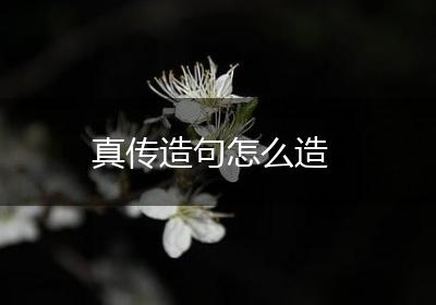 真传造句怎么造