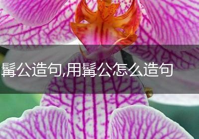 髯公造句,用髯公怎么造句