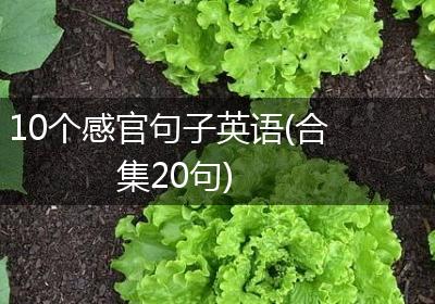 10个感官句子英语(合集20句)