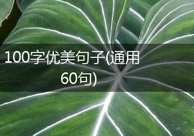 100字优美句子(通用60句)