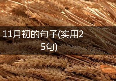 11月初的句子(实用25句)