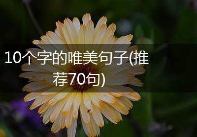 10个字的唯美句子(推荐70句)