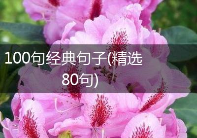 100句经典句子(精选80句)