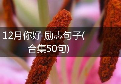 12月你好 励志句子(合集50句)