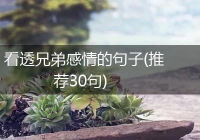 看透兄弟感情的句子(推荐30句)