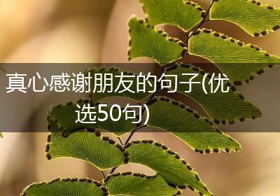 真心感谢朋友的句子(优选50句)