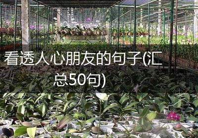 看透人心朋友的句子(汇总50句)