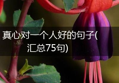 真心对一个人好的句子(汇总75句)