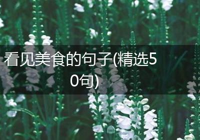 看见美食的句子(精选50句)