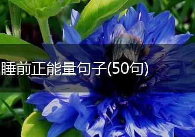 睡前正能量句子(50句)