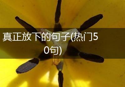 真正放下的句子(热门50句)