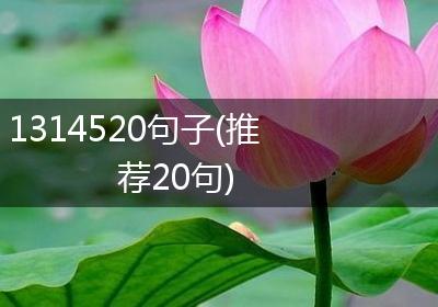 1314520句子(推荐20句)
