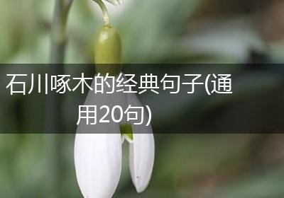 石川啄木的经典句子(通用20句)