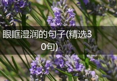 眼眶湿润的句子(精选30句)