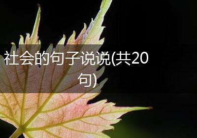 社会的句子说说(共20句)
