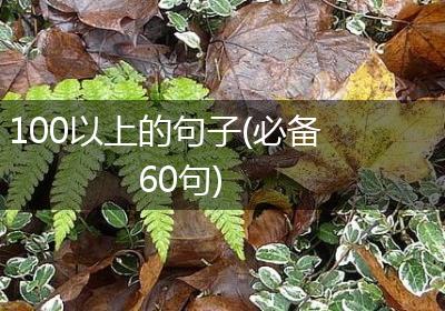 100以上的句子(必备60句)