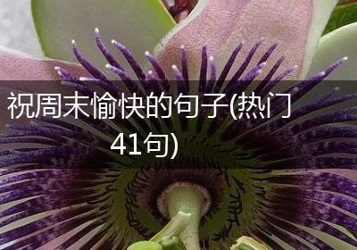 祝周末愉快的句子(热门41句)