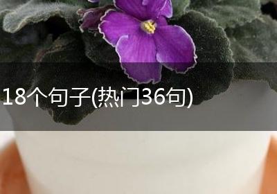 18个句子(热门36句)