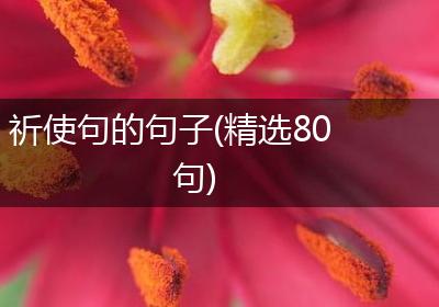 祈使句的句子(精选80句)