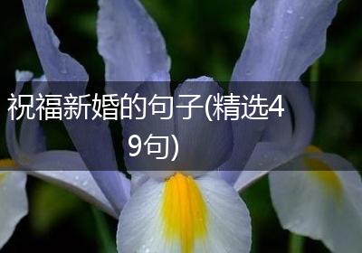 祝福新婚的句子(精选49句)