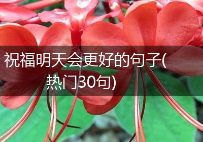 祝福明天会更好的句子(热门30句)