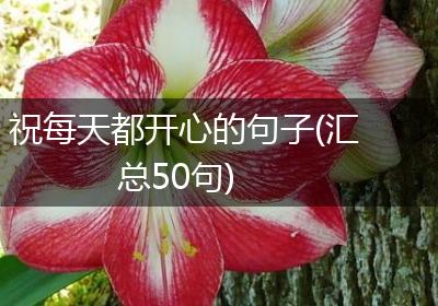 祝每天都开心的句子(汇总50句)