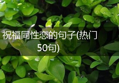 祝福同性恋的句子(热门50句)