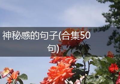 神秘感的句子(合集50句)