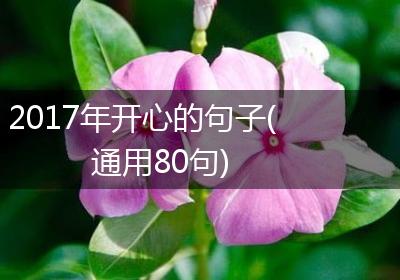 2017年开心的句子(通用80句)