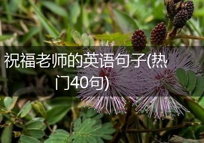 祝福老师的英语句子(热门40句)