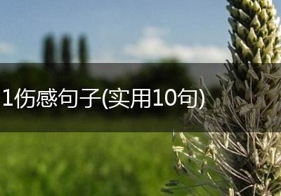 1伤感句子(实用10句)