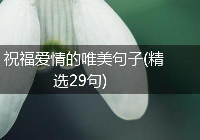祝福爱情的唯美句子(精选29句)