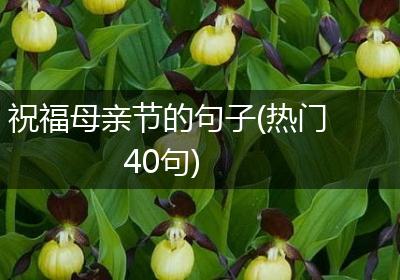 祝福母亲节的句子(热门40句)