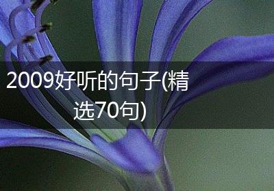 2009好听的句子(精选70句)