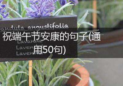 祝端午节安康的句子(通用50句)