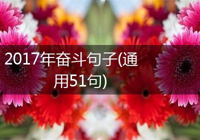 2017年奋斗句子(通用51句)