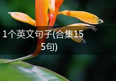 1个英文句子(合集155句)