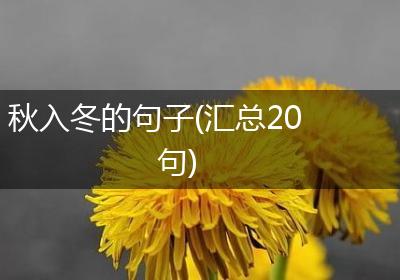 秋入冬的句子(汇总20句)
