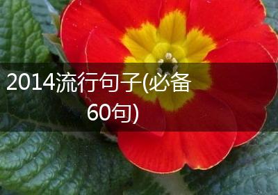 2014流行句子(必备60句)