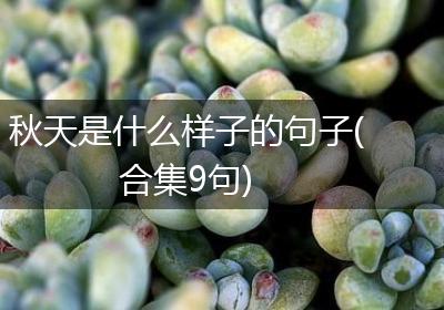 秋天是什么样子的句子(合集9句)