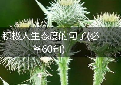 积极人生态度的句子(必备60句)