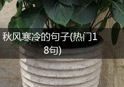 秋风寒冷的句子(热门18句)